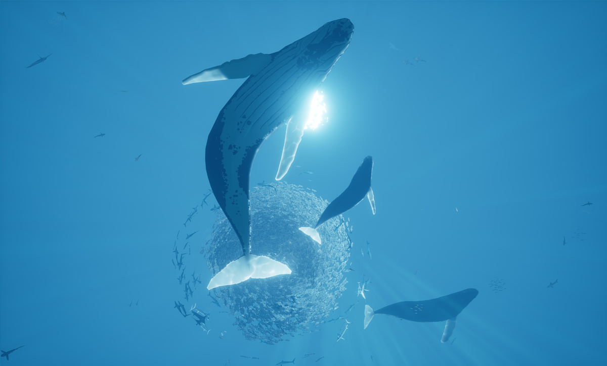 Whales swimming